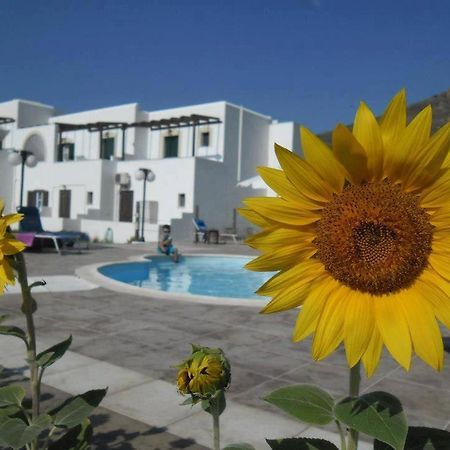 Delight Apartments Suites Stelida  Dış mekan fotoğraf