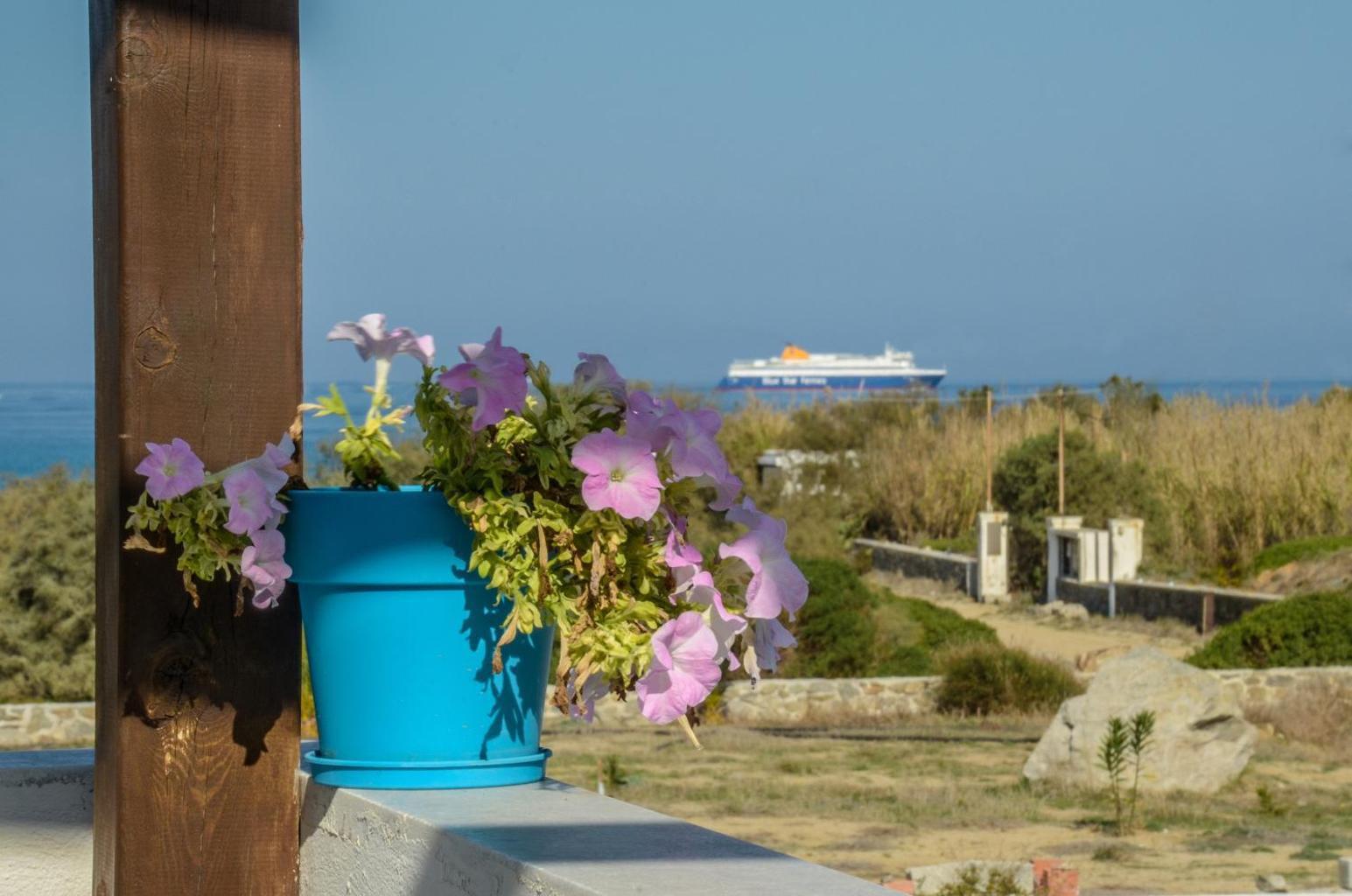 Delight Apartments Suites Stelida  Dış mekan fotoğraf