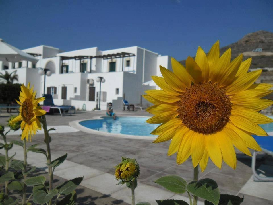 Delight Apartments Suites Stelida  Dış mekan fotoğraf